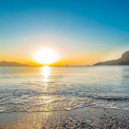 Premium מלון טורונץ'