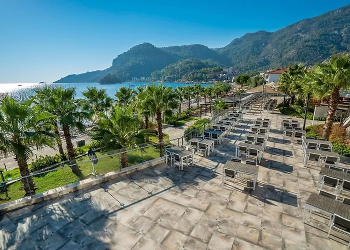 Premium טורונץ'